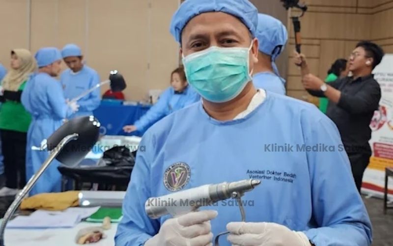 operasi hewan anabul