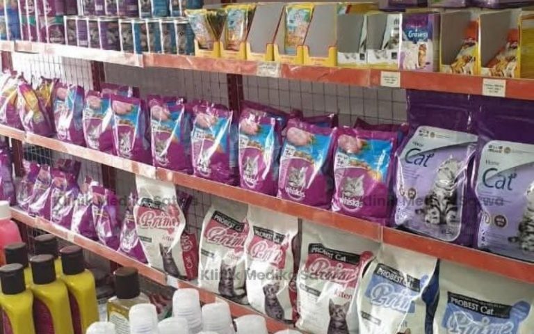 dokter hewan lubuklinggau