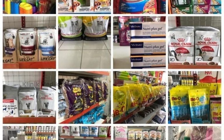 dokter hewan lubuklinggau