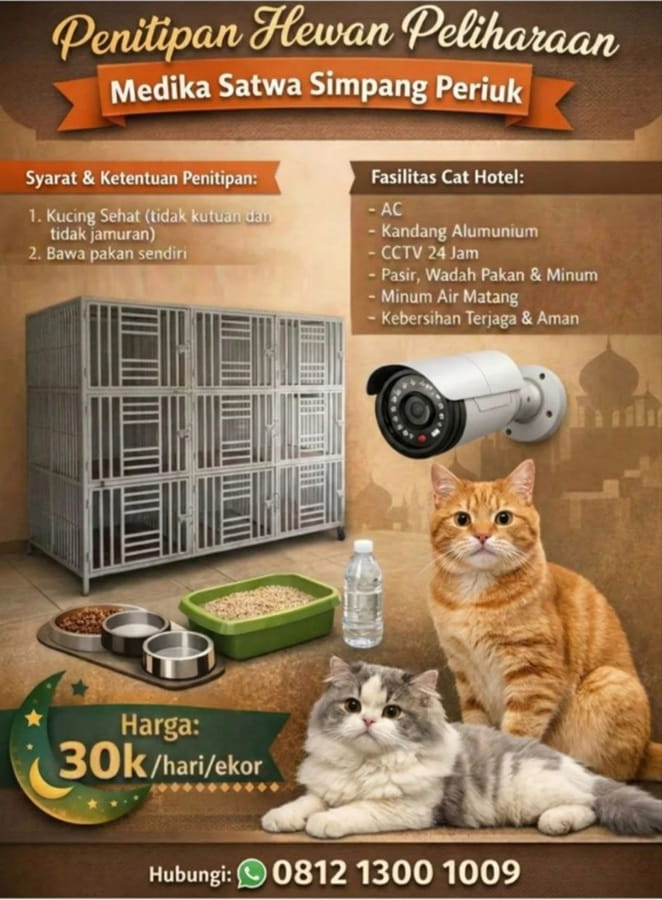 jasa pet hotel lubuklinggau